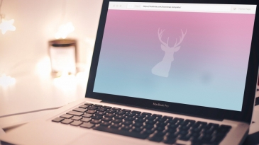 Hoàng Trần chia sẻ một số cân nhắc khi chọn thuê Laptop tầm trung