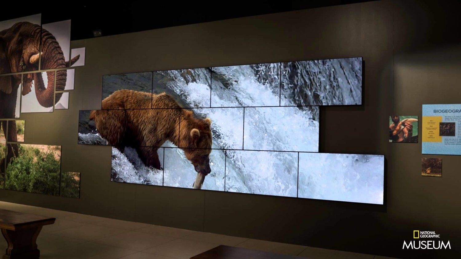 Video Wall chuyên dụng tại triển lãm, hội nghị