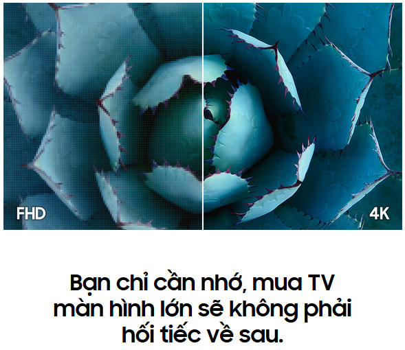 nên mua tivi màn hình lớn mà phù hợp với bạn